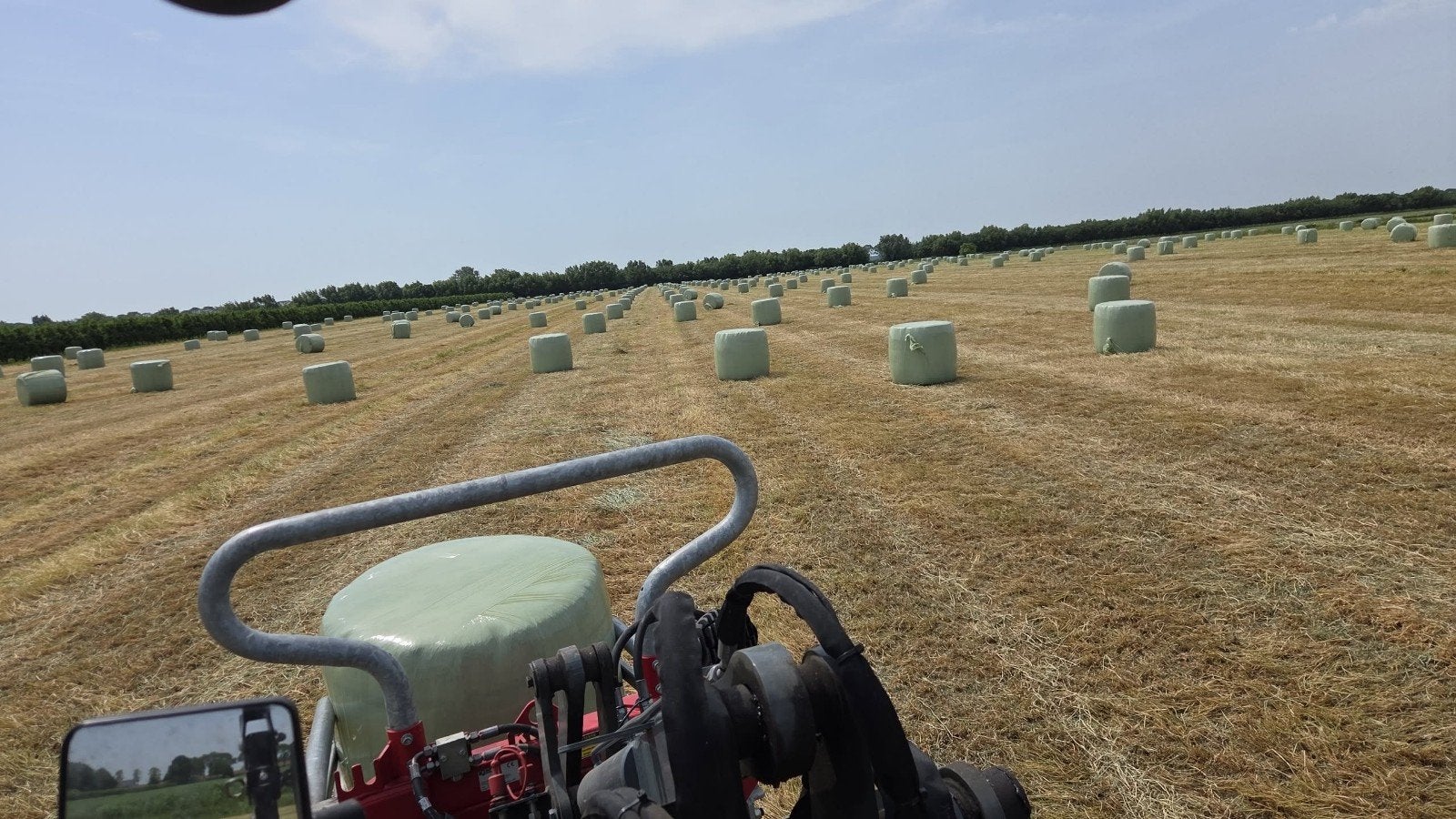Gras op stam gezocht!