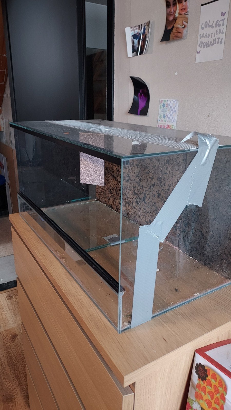 Groot terrarium met schade, tegen elk aannemelijk bod, Ophalen, Gebruikt, Terrarium of Paludarium