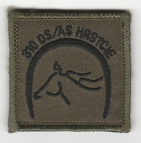 embleem 310 DS / AD Herstelcompagnie, Verzenden, Landmacht, Nederland, Embleem of Badge