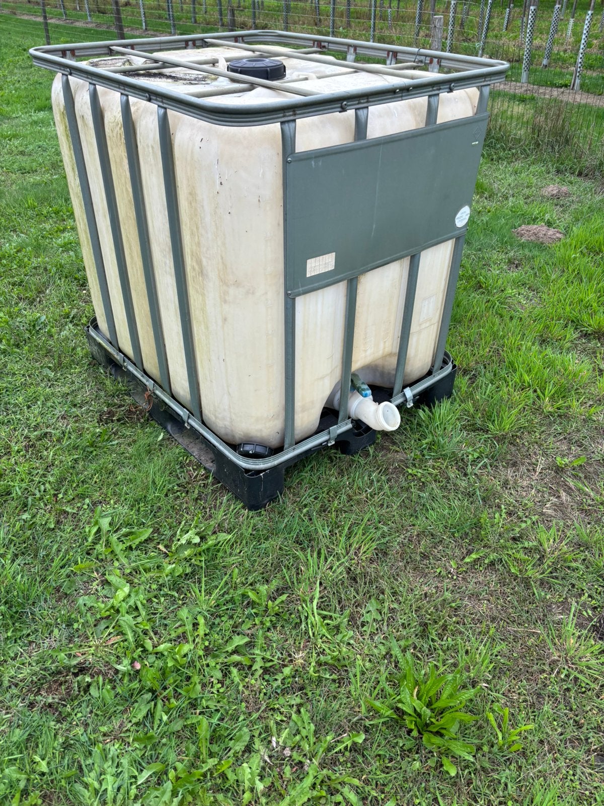 Water ton 1000L, Ophalen, Overige materialen, Met kraantje, 150 liter of meer