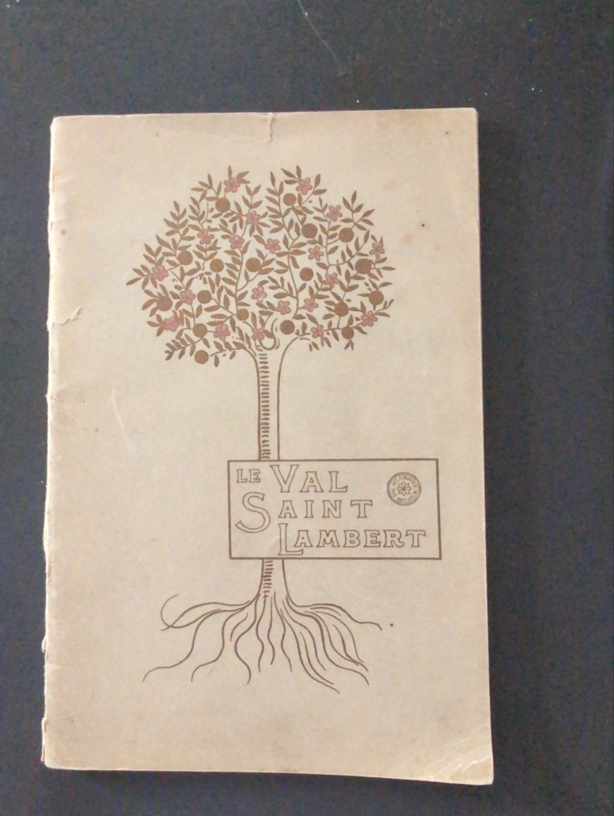 Boekje over de geschiedenis van Val St Lambert, Antiek en Kunst, Antiek | Glas en Kristal, Ophalen of Verzenden