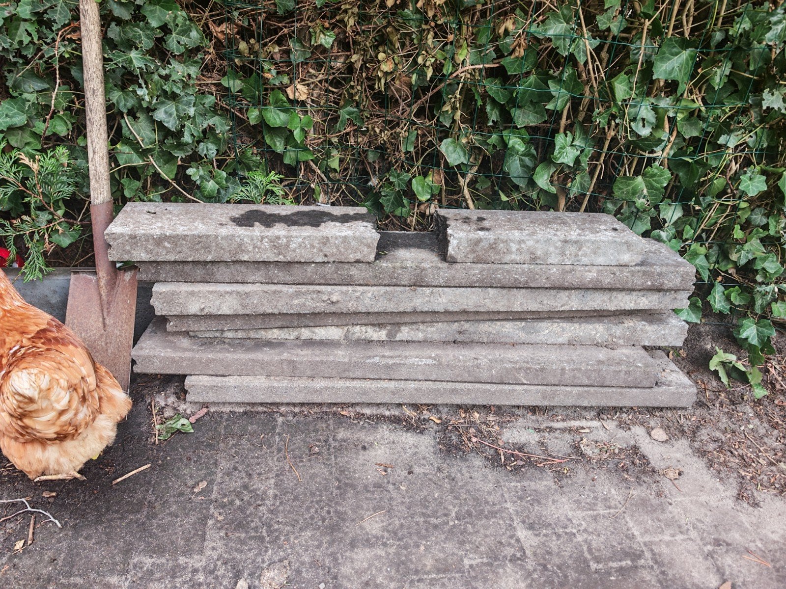 Gebruikte betonnen sluitbanden - diverse maten, Tuin en Terras, Ophalen, Gebruikt, Minder dan 5 m², Beton