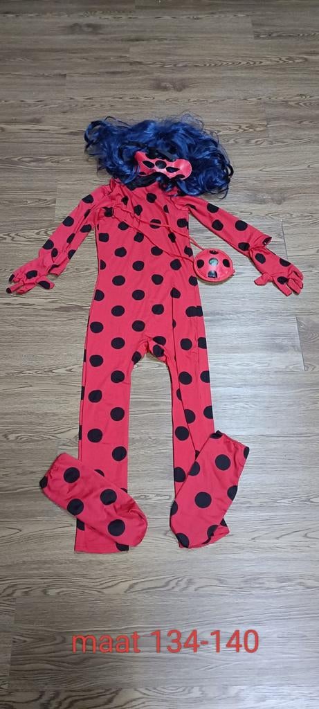 Ladybug kostuum maat 134-140 met pruik en accessoires, Kinderen en Baby's, Carnavalskleding en Verkleedspullen, Ophalen of Verzenden