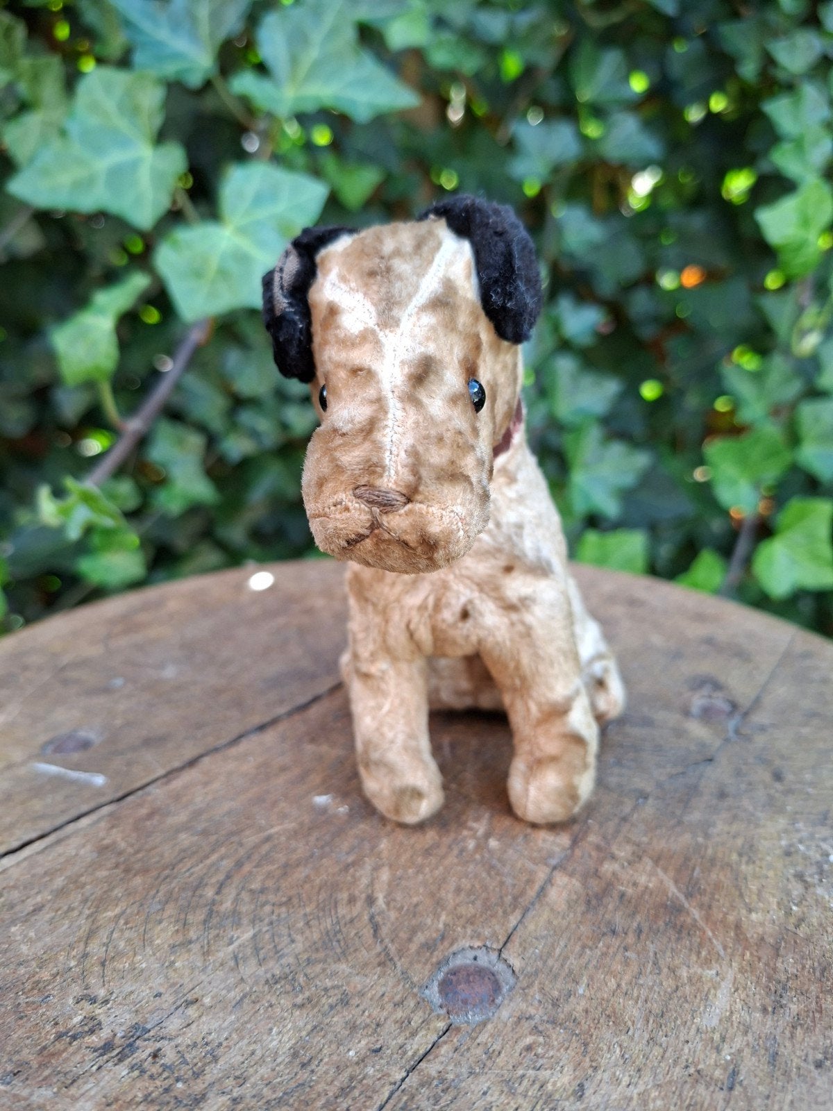 Oude Fox Terriër Knuffel, Ophalen of Verzenden