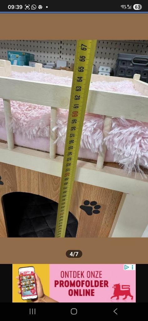 chihuahua huis, Dieren en Toebehoren, Ophalen of Verzenden