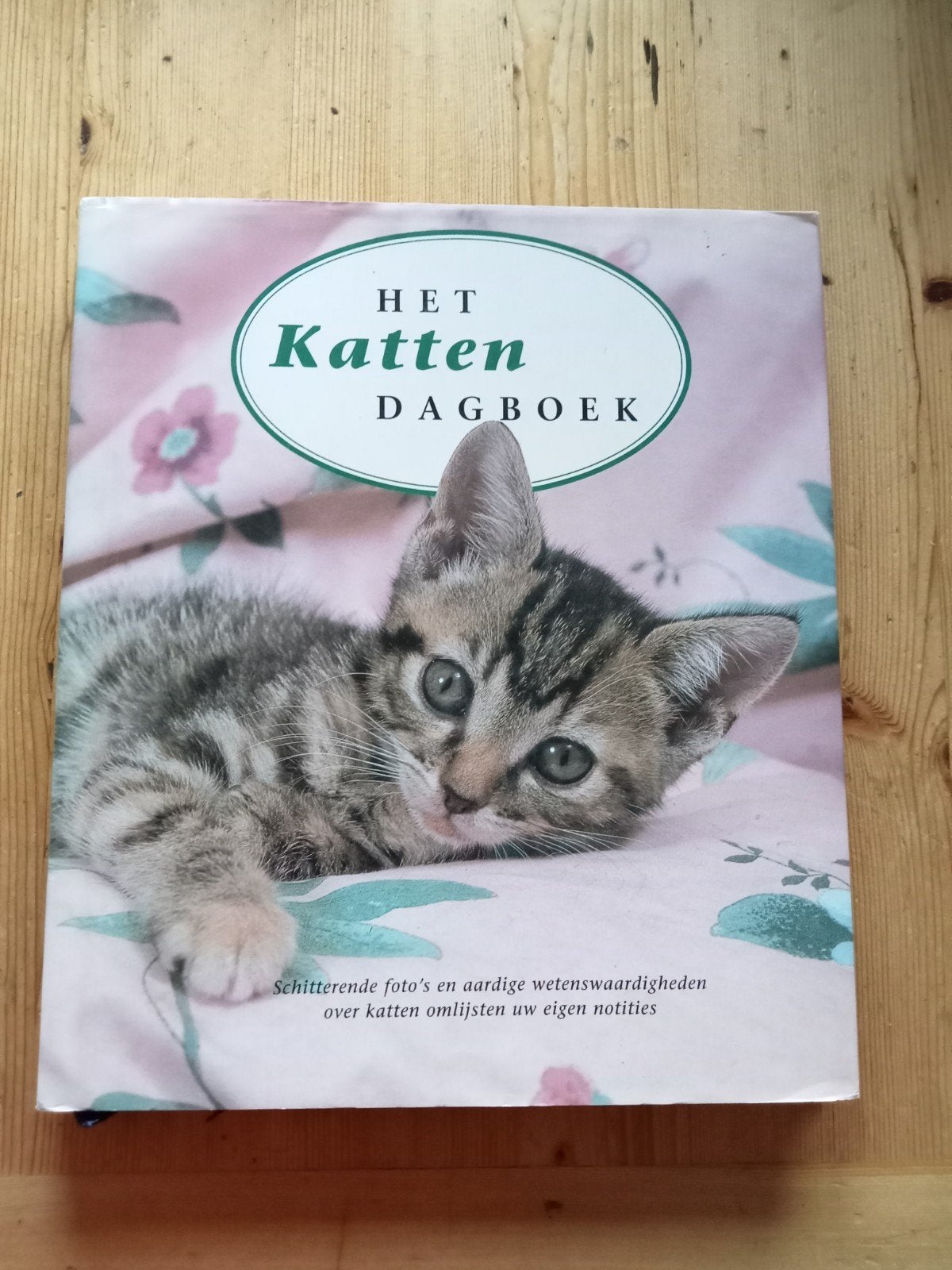 Het Katten Dagboek - Prachtig geillustreerd, Boeken, Dieren en Huisdieren, Ophalen of Verzenden, Gelezen, Katten