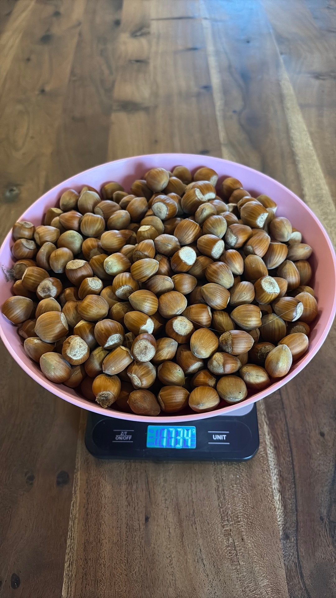 Hazelnoten 1,7kg, Diversen, Ophalen