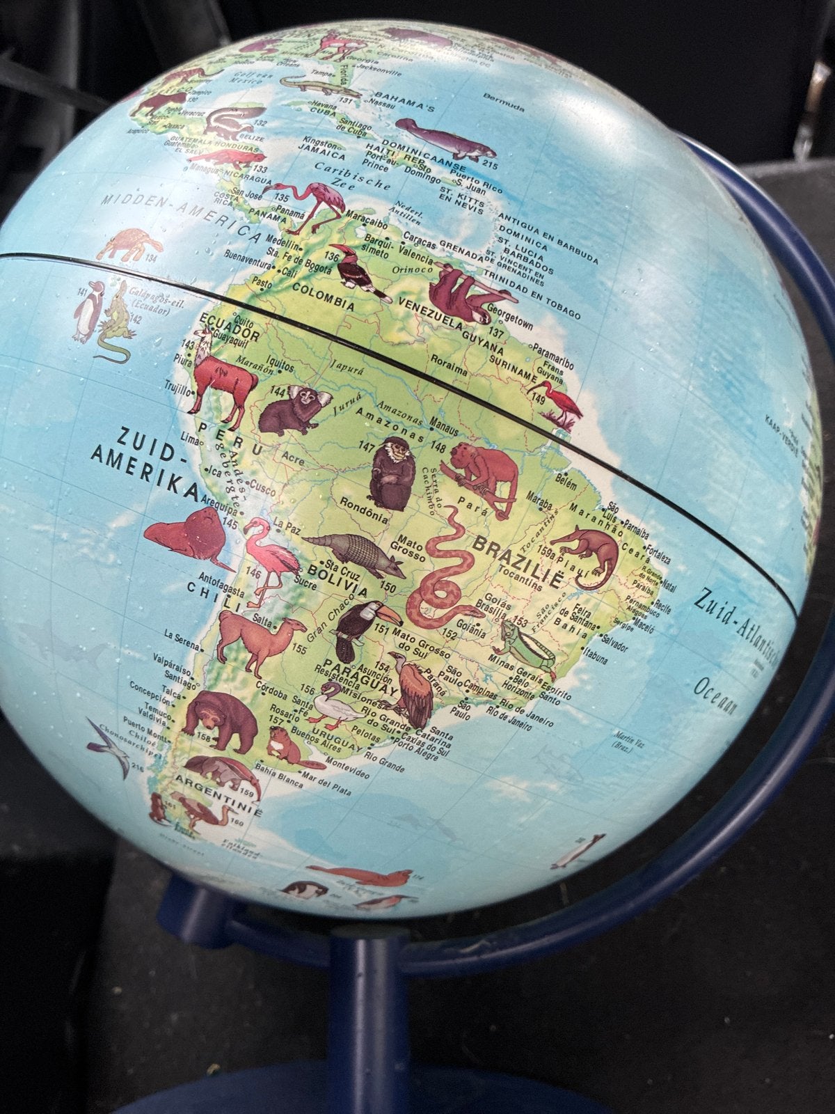 Kinderglobe Dieren van de Wereld - Educatief & Decoratief, Meerkleurig, Overige stijlen, Kunststof, Ophalen of Verzenden