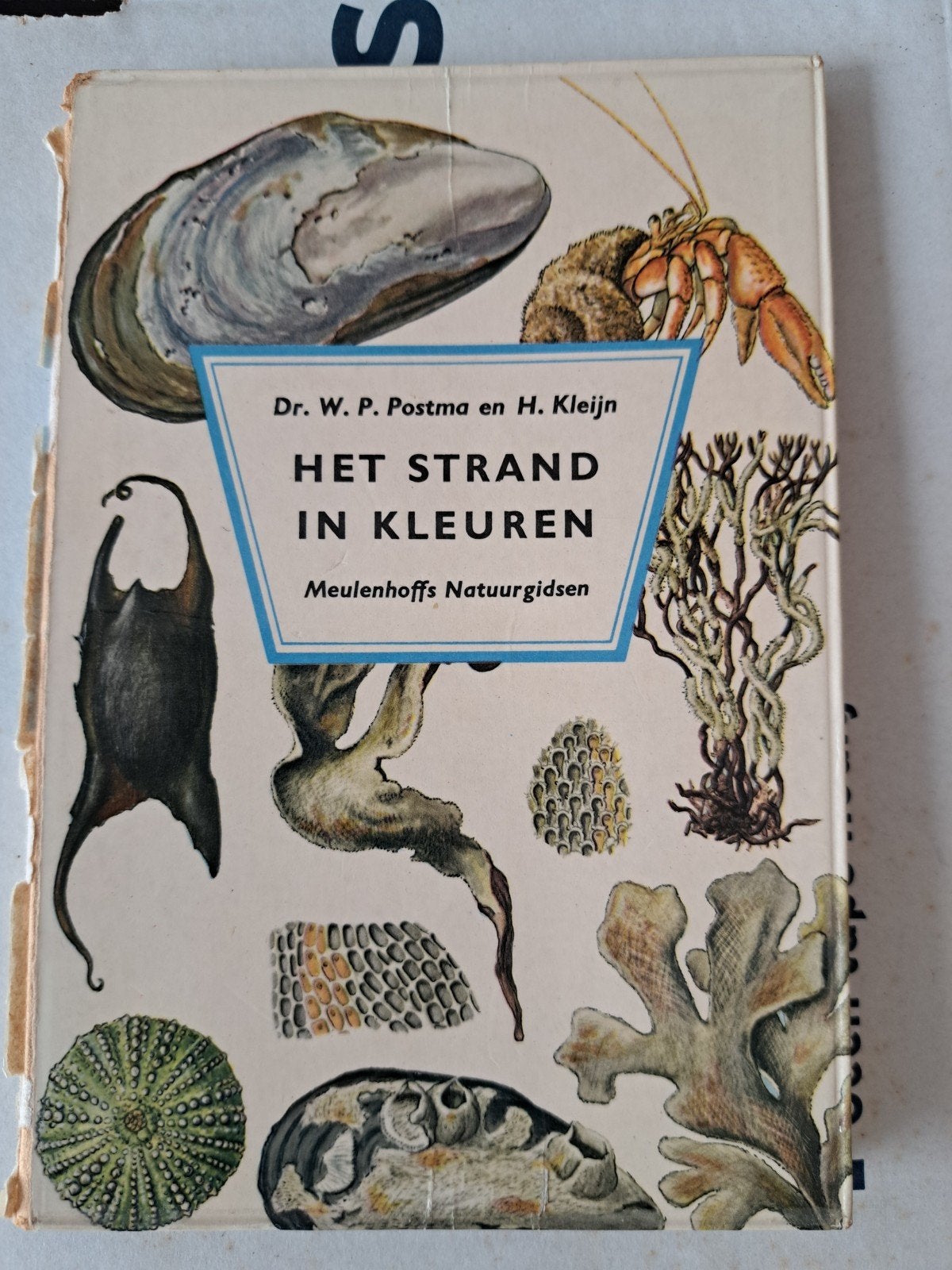 Het strand in kleuren, Ophalen