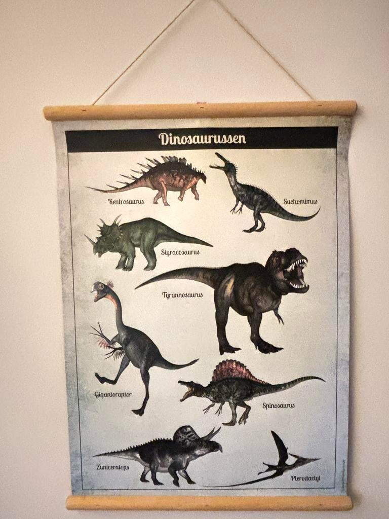 Dinosaurus poster - leuk voor de kinderkamer - dubbelzijdig, Ophalen of Verzenden, Zo goed als nieuw, Wanddecoratie