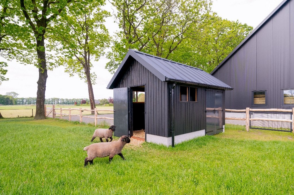 Schapenstal kippenhok geitenhok dierenverblijf, Dieren en Toebehoren, Vrouwelijk, Schaap