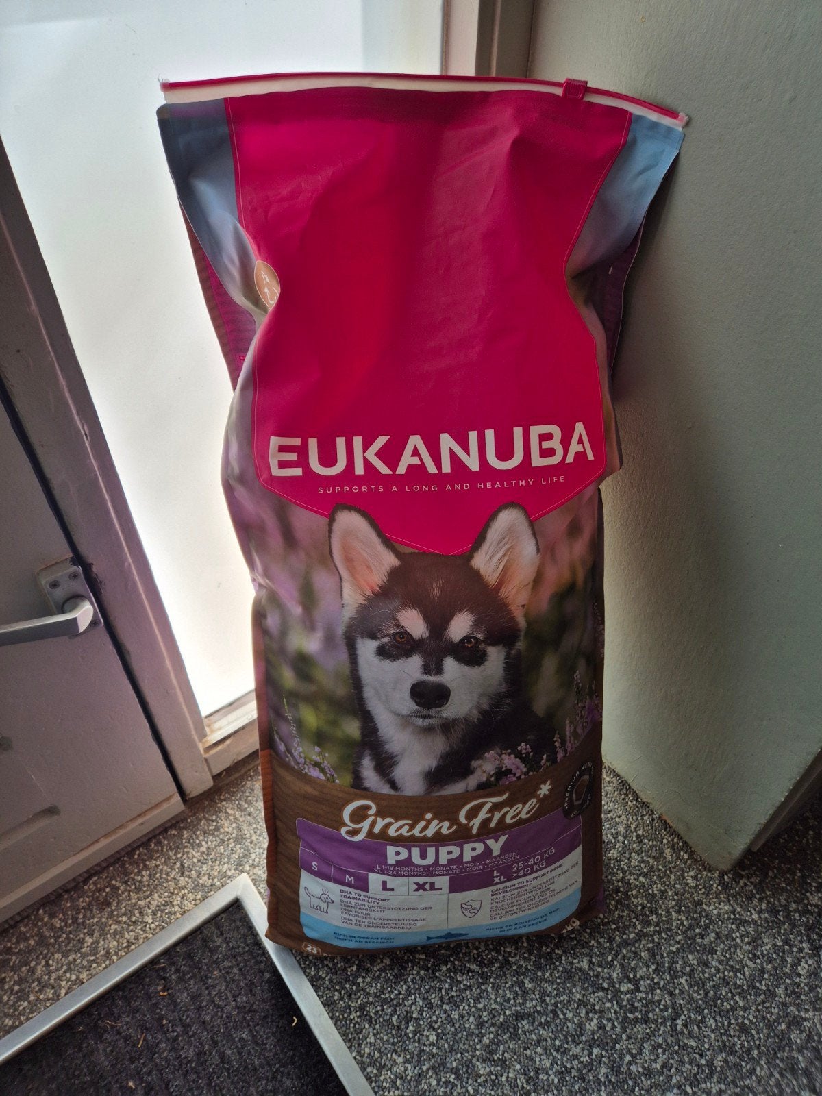 nu 30 euro  11.7 kg eukanuba  puppy large brokken  grainfre, Dieren en Toebehoren, Ophalen, Hond