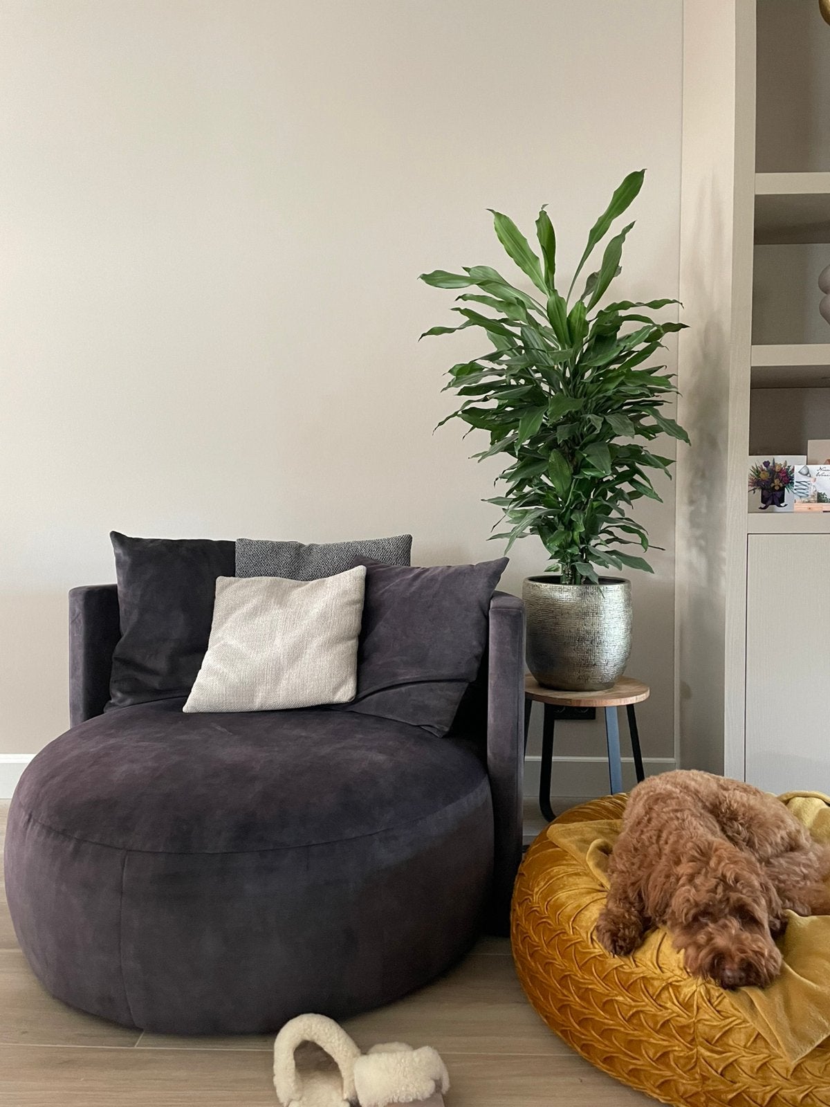 Te koop ronde grijze fauteuil van het merk Passe Partout, Ophalen, Gebruikt, Stof, 100 tot 125 cm