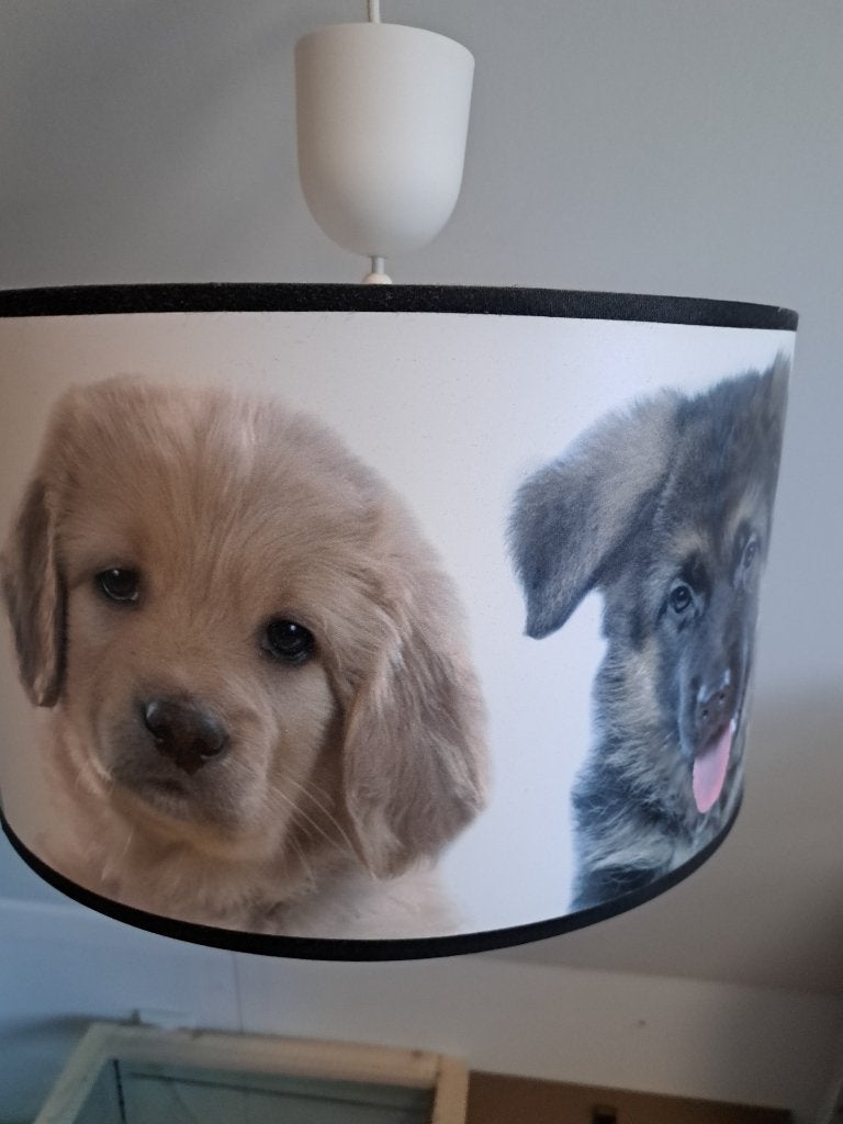 Leuke lamp met puppy's, Ophalen, Zo goed als nieuw, Ophangbaar, Lamp