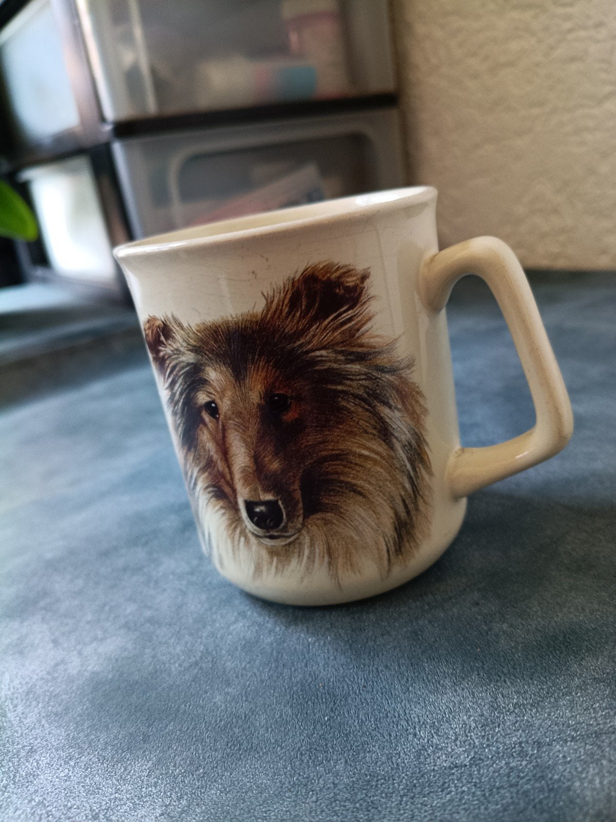 Mok met Schotse Collie afbeelding en beschrijving, Steen/keramiek, Overige merken, Ophalen, Beige