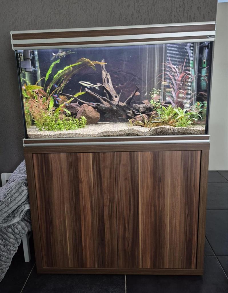 Aquarium met toebehoren, Dieren en Toebehoren, Vissen | Aquaria en Toebehoren, Ophalen, Gevuld zoetwateraquarium