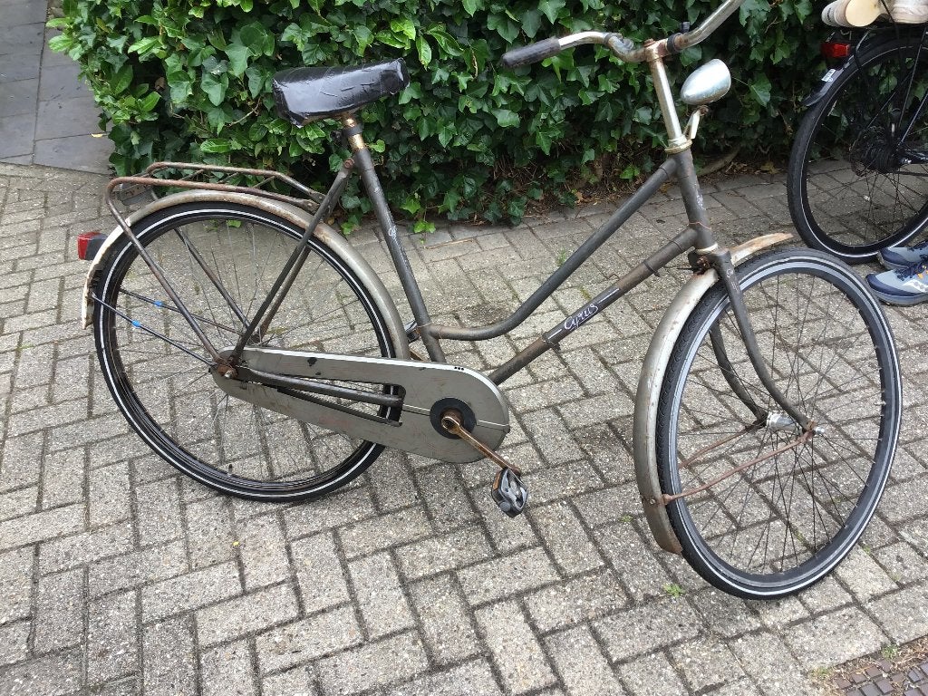 Damesfiets, Overige merken, Terugtraprem, Gebruikt, 56 cm of meer