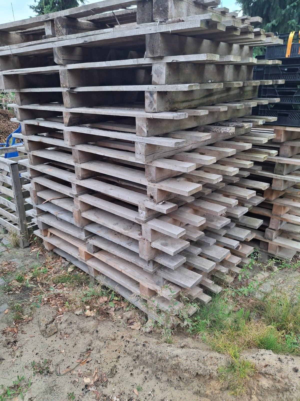 Gebruikte Pallets - Diverse Maten en Houtsoorten, Doe-het-zelf en Verbouw, Gebruikt, Ophalen of Verzenden, 200 tot 250 cm, 50 mm of meer