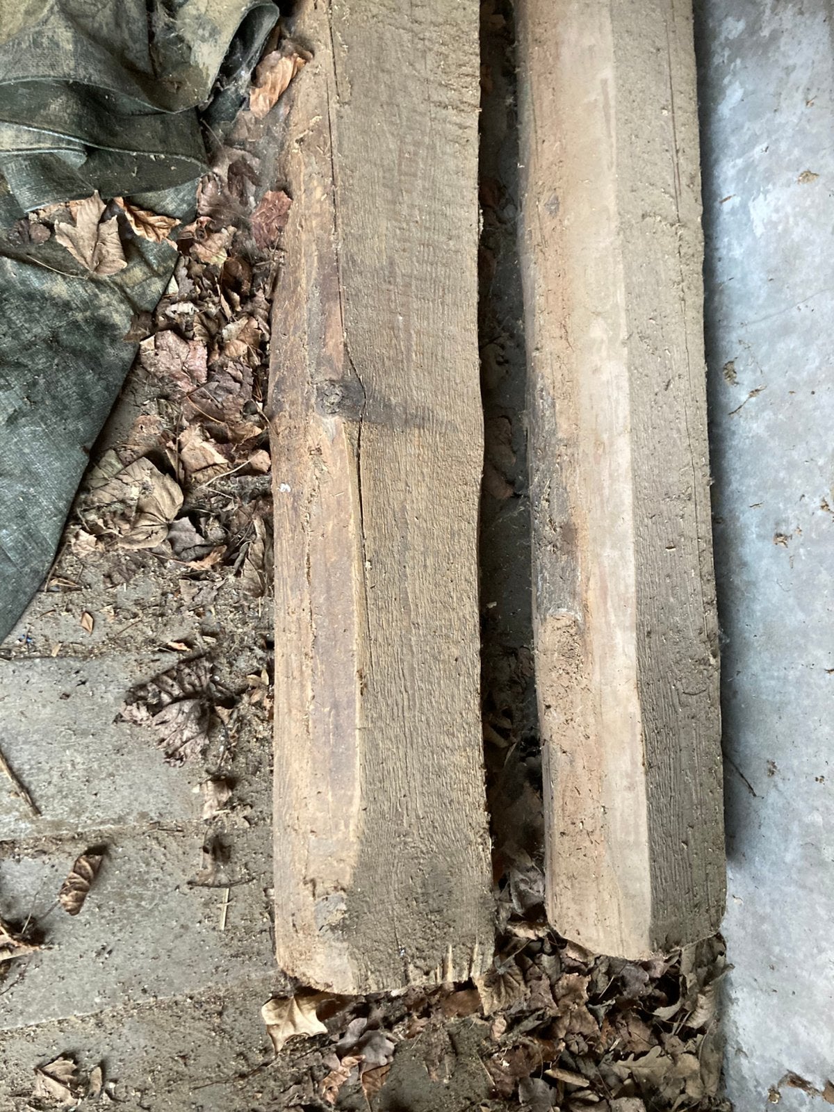 Twee balken ruim 5 meter lang, Ophalen, Zo goed als nieuw, 250 cm of meer, Balken