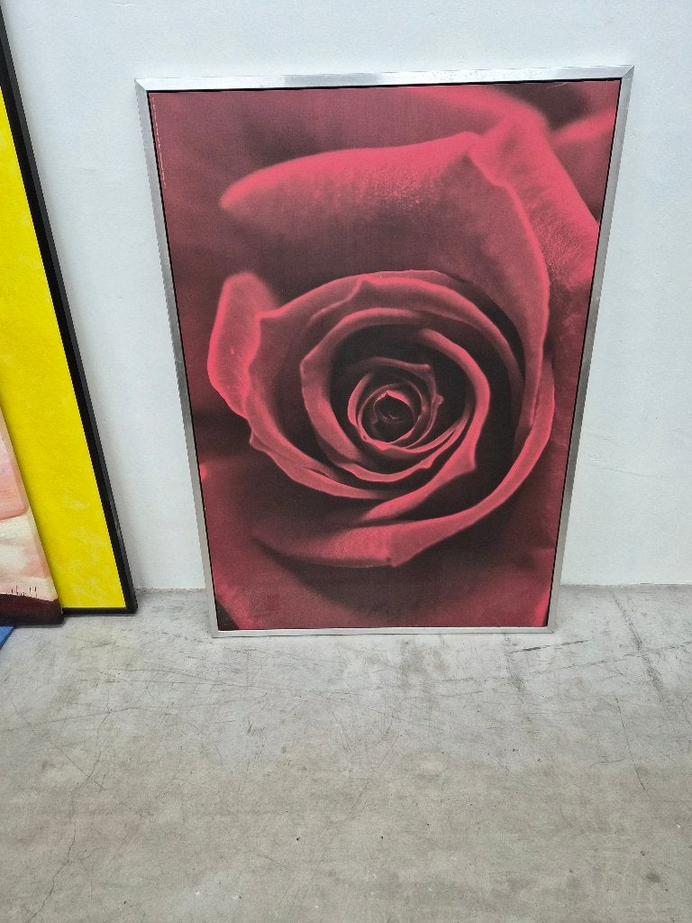 Schilderij roos, Antiek en Kunst, Ophalen, Bloemen