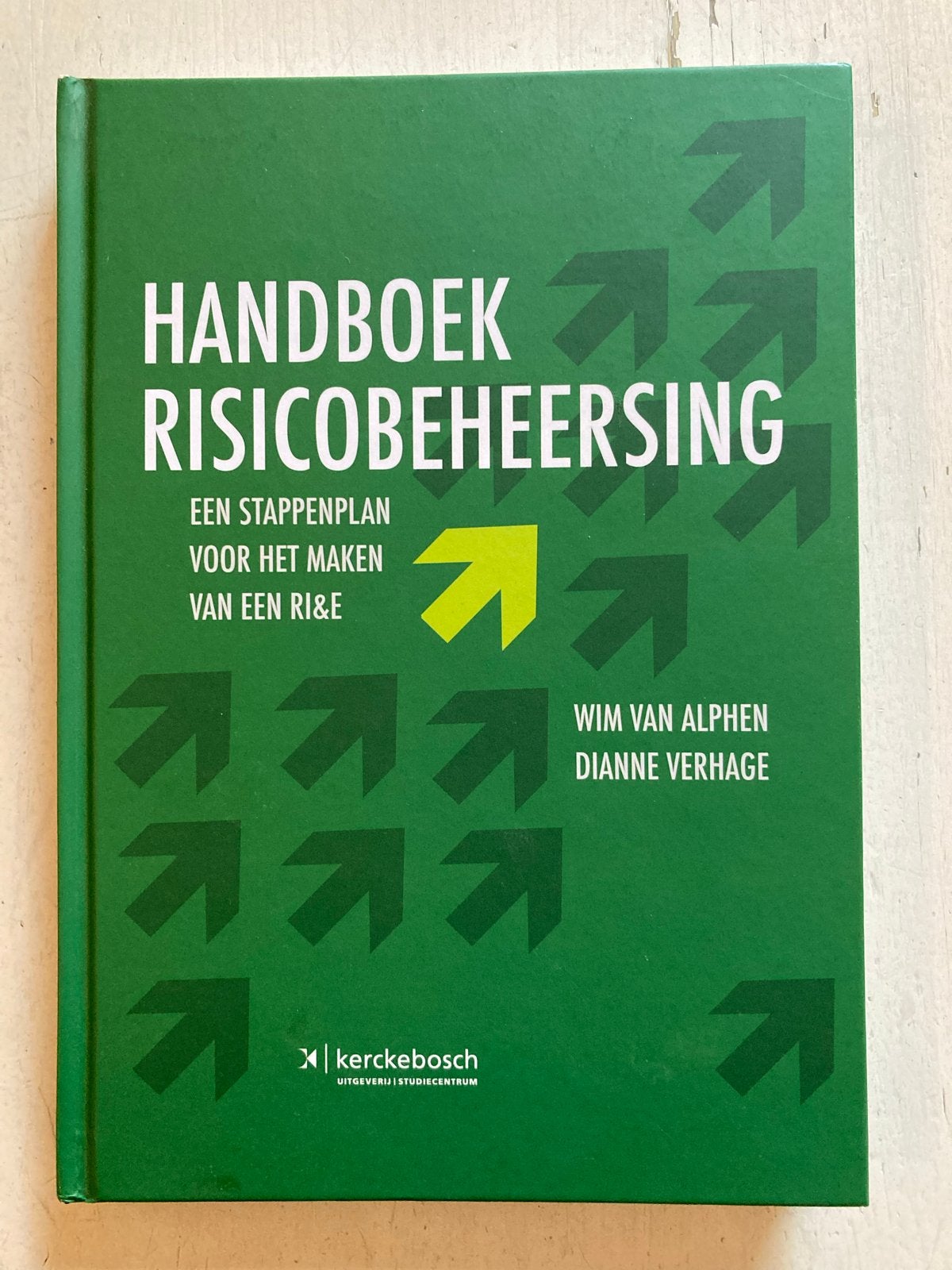 Handboek Risicobeheersing - Wim van Alphen, Dianne Verhage, Boeken, Ophalen of Verzenden, Gamma, Zo goed als nieuw, HBO