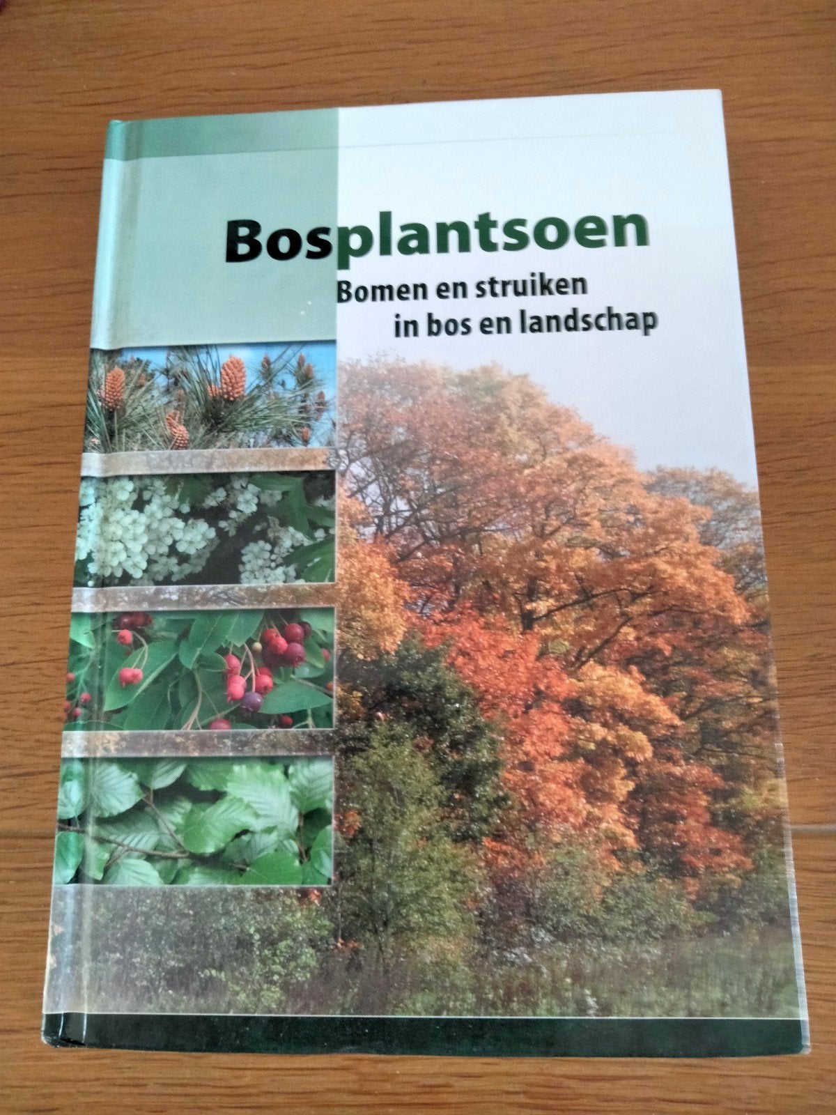 B. Exterkate - Bosplantsoen, Boeken, B. Exterkate; Gertom de Beer, Ophalen of Verzenden, Zo goed als nieuw, Interieur en Design