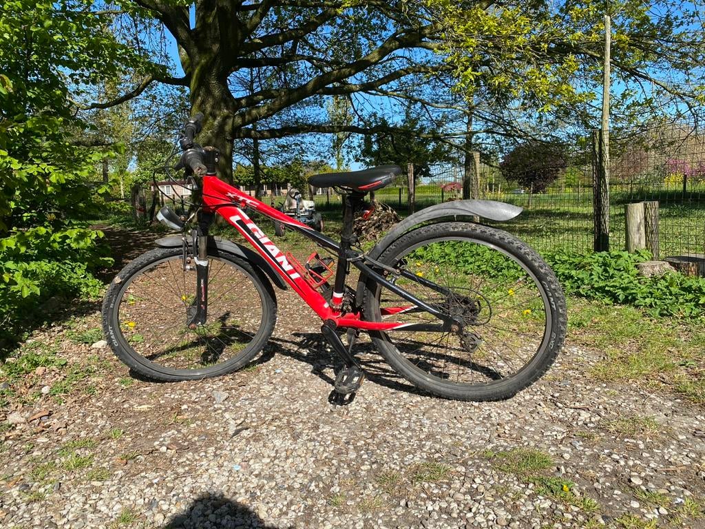 Giant Mountainbike 24 inch, Fietsen en Brommers, Gebruikt, Hardtail, Velgrem, Giant