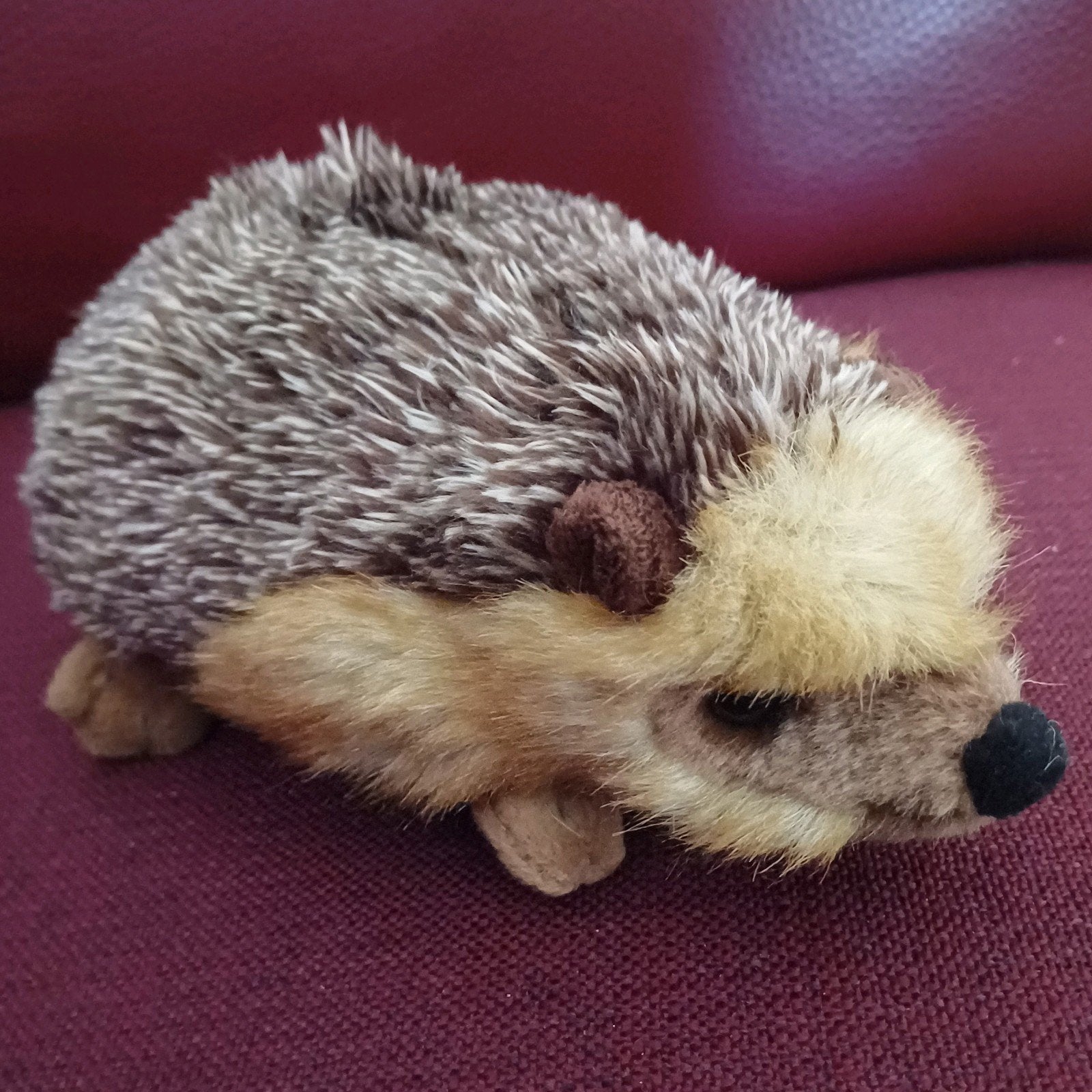 Wereld natuur fonds egel knuffel 22 cm, Ophalen, Zo goed als nieuw, Overige typen