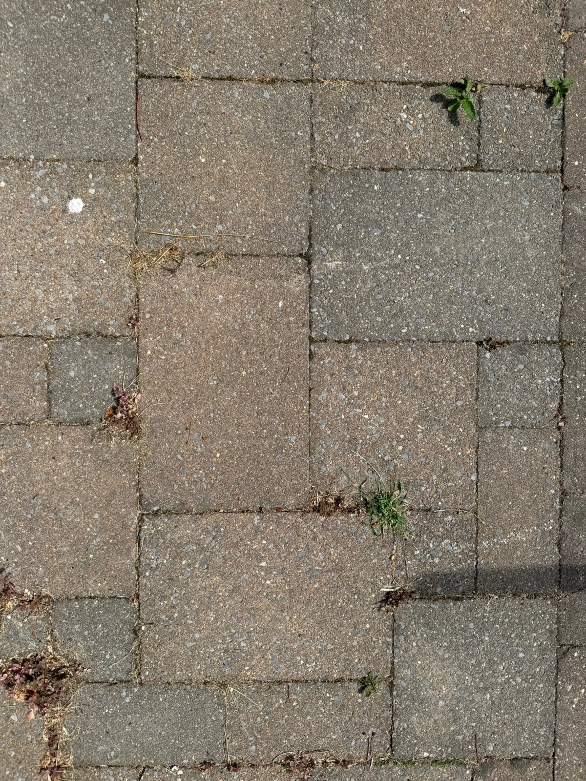 Gratis terrastegels wildverband, 20m2, Ophalen, Gebruikt, 10 m² of meer, Beton