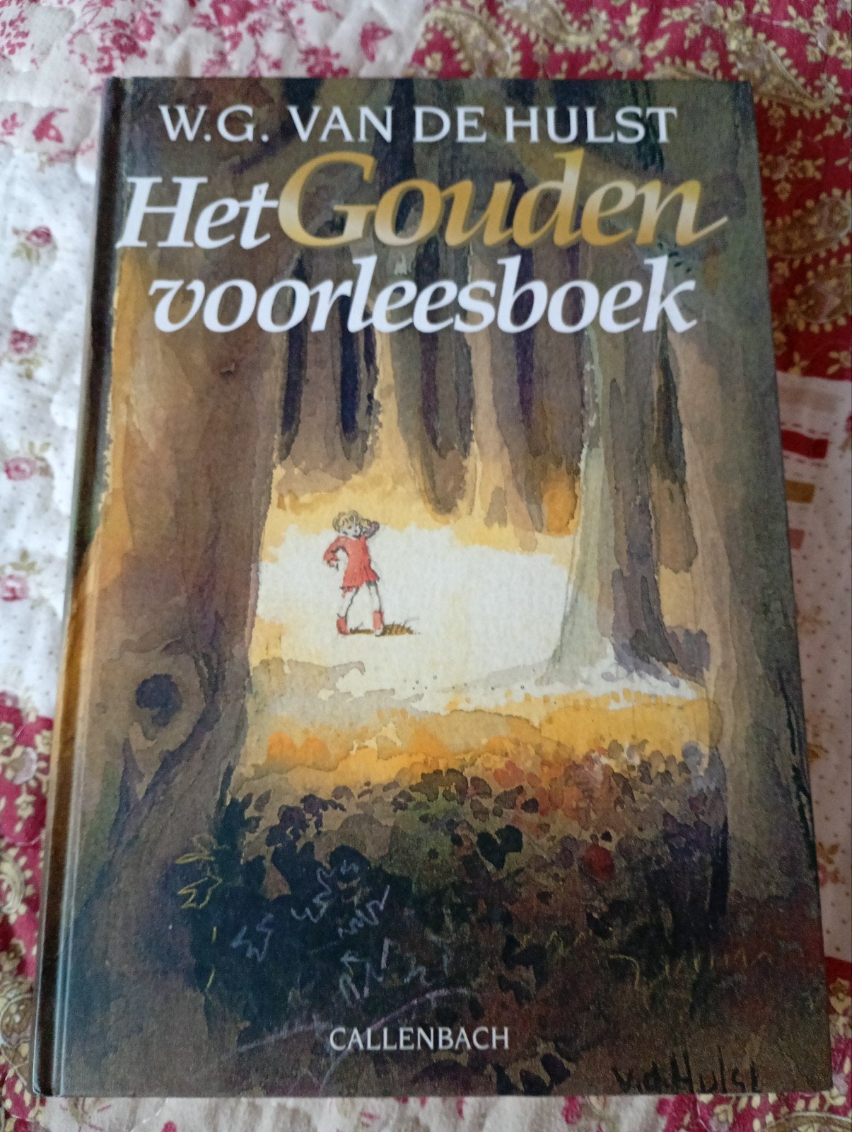 Het Gouden Voorleesboek - W.G. van de Hulst, Ophalen of Verzenden, Zo goed als nieuw, W.G. van de Hulst, Fictie algemeen