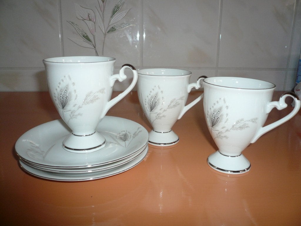 3 porseleinen kop en schotels, Overige merken, Ophalen of Verzenden, Zo goed als nieuw, Overige stijlen