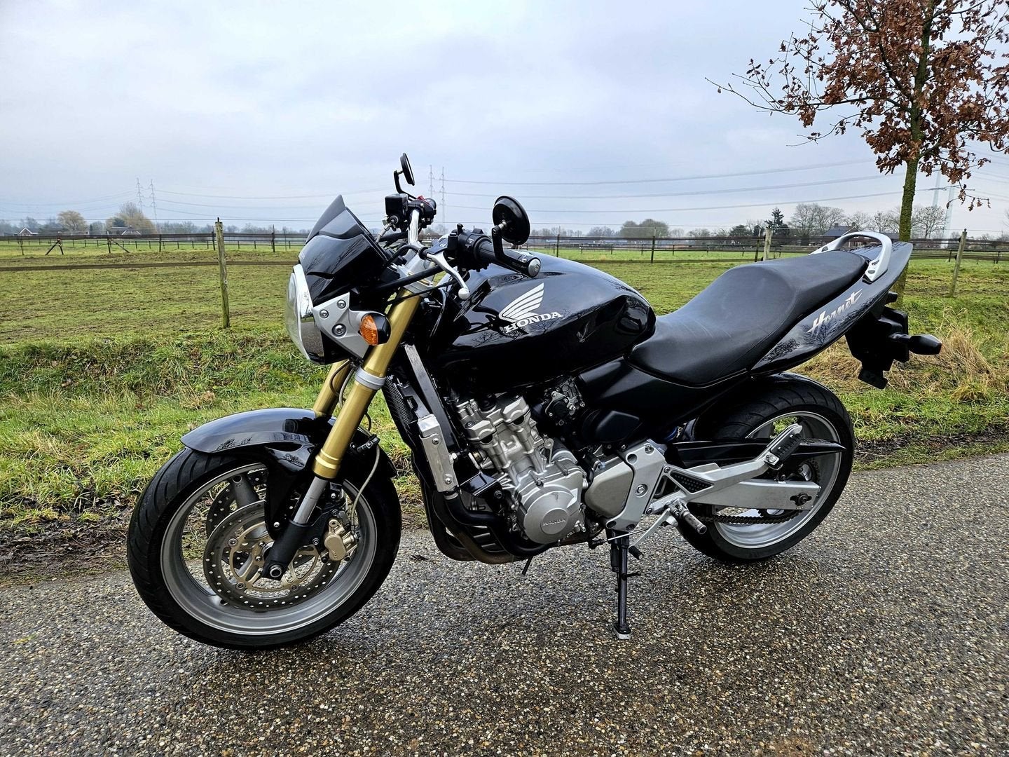 HONDA CB600F HORNET 2006 Barend Spiegel 41085 Km 97 Pk Cb600, HONDA, 4 cilinders, Motorrijbewijs A, Bedrijf