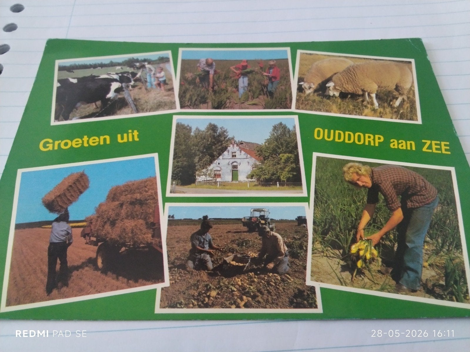 Ansichtkaart Groeten uit Ouddorp aan Zee (1979), Verzamelen, Ansichtkaarten | Nederland, Gelopen, Zuid-Holland, 1960 tot 1980