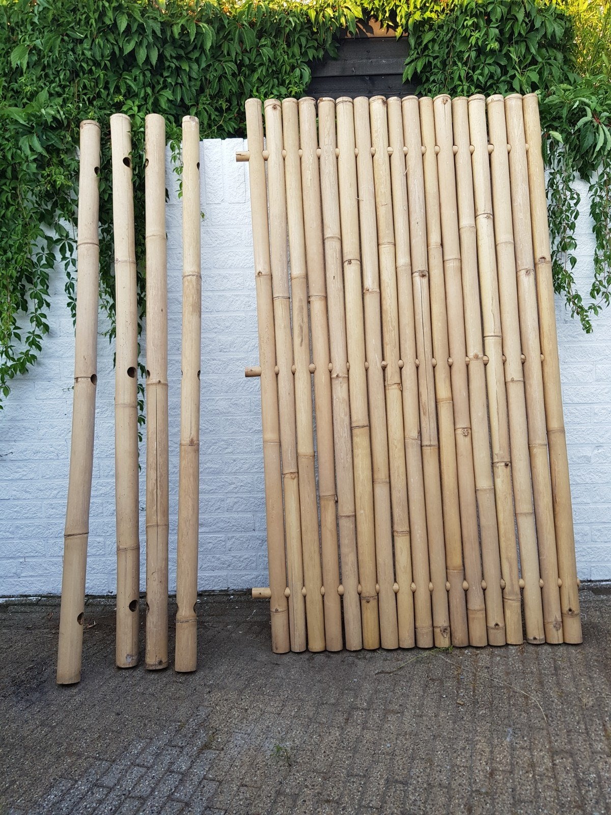 bamboeschuttingdeel, 1 tot 2 meter, Minder dan 3 meter, Nieuw, Ophalen of Verzenden