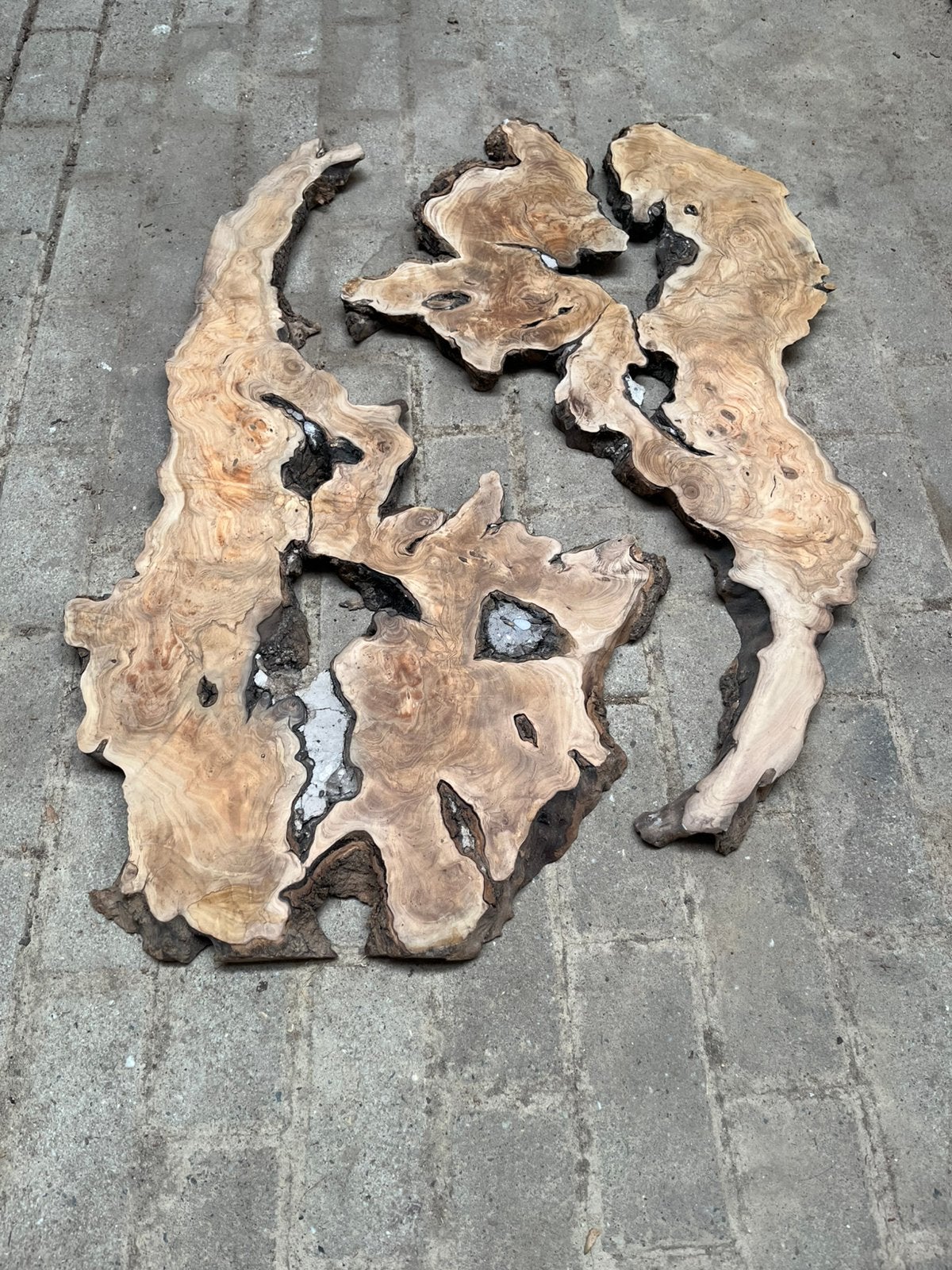 Mos schilderij of epoxy blad maken van ons uniek olijfhout, Huis en Inrichting, Woonaccessoires | Wanddecoraties, Ophalen, Nieuw