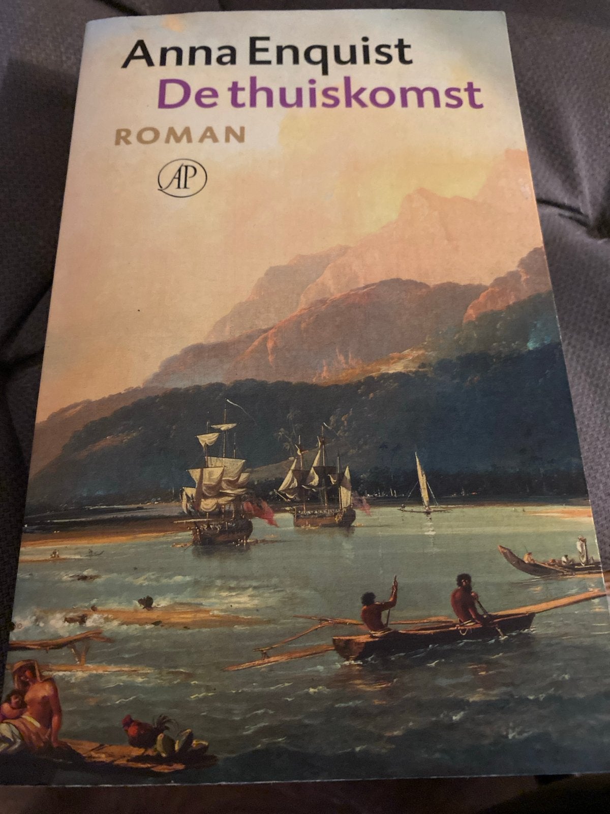 De thuiskomst - Anna Enquist (Roman), Ophalen of Verzenden, Gelezen, Nederland