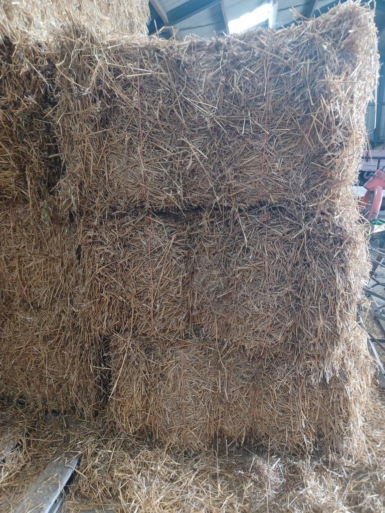 Tarwe stro/ stro/ strobalen, Dieren en Toebehoren, Dierenvoeding, Ophalen, Vee