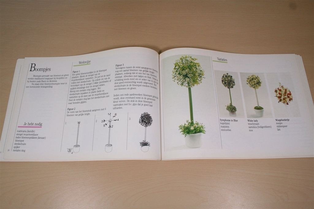 Bloemschikken [1986] — Praktische gids — K.V.L.V., Ophalen of Verzenden, Gelezen