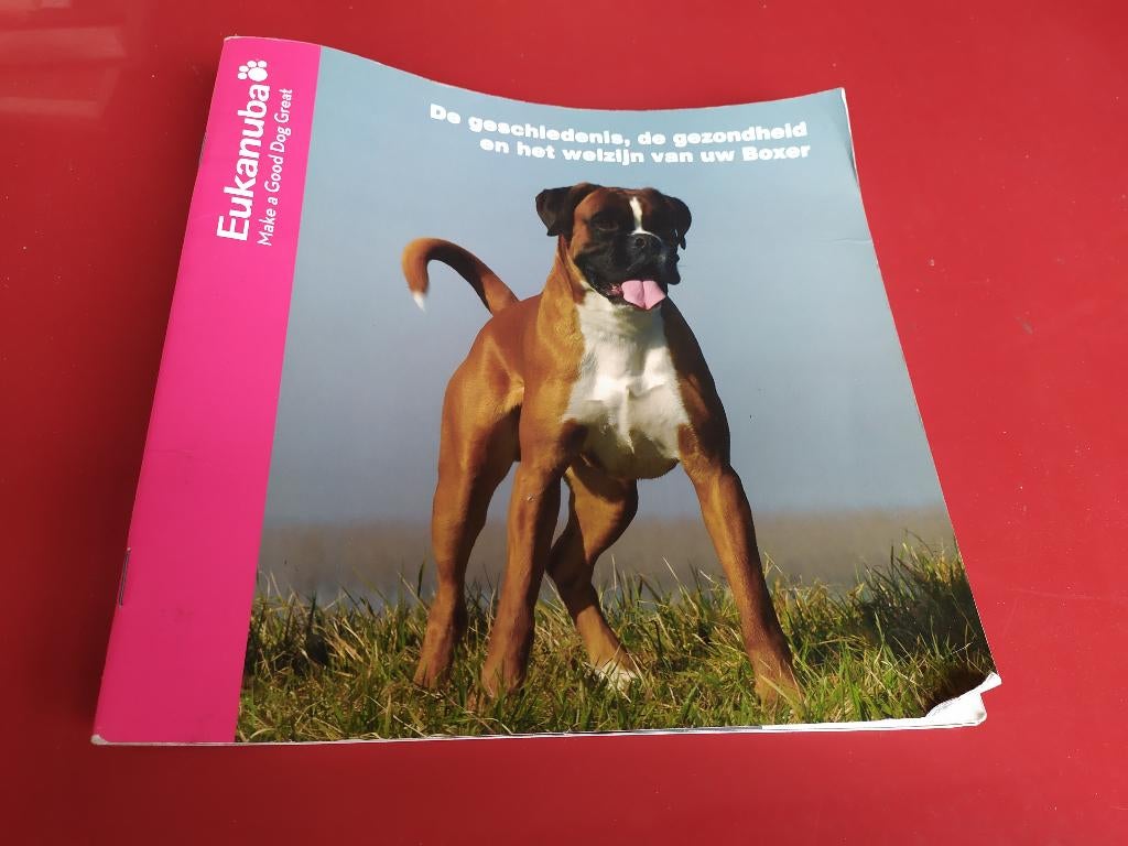 De geschiedenis, de gezondheid en het welzijn van uw Boxer, Ophalen of Verzenden, Gelezen, Honden