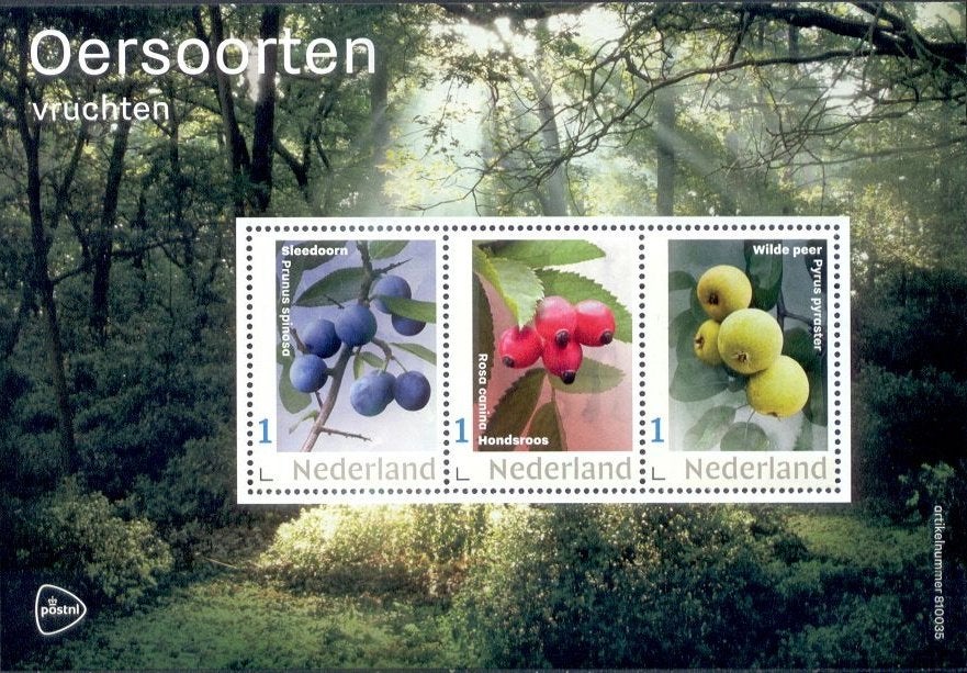 vel persoonlijke zegels postfris oersoorten - vruchten, Ophalen of Verzenden, Na 1940, Postfris