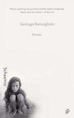 Roncaglio: schaamte, Boeken, Romans, Gelezen, Ophalen of Verzenden