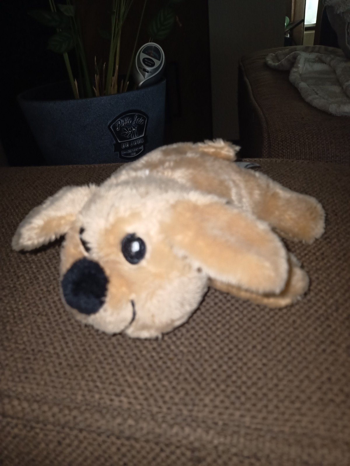 Nugar, woopie kleine dierenarts hondje., Overige merken, Zo goed als nieuw, Wasbaar, Klein (minder dan 20 cm)
