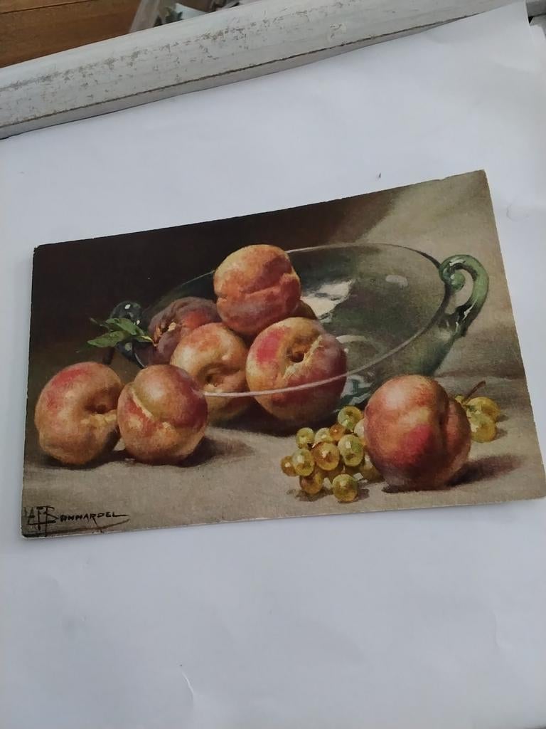 STILLEVEN.  - ALEXANDRE FRANÇOIS  BONNARDEL, Verzamelen, Ansichtkaarten | Themakaarten, Ophalen of Verzenden, Voor 1920, Sterren en Beroemdheden