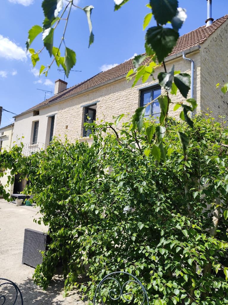 Charmant gerenoveerd dorphuis in Bourgondië - Frankrijk, Huizen en Kamers, Buitenland, Dorp, Frankrijk, Woonhuis, 165 m²