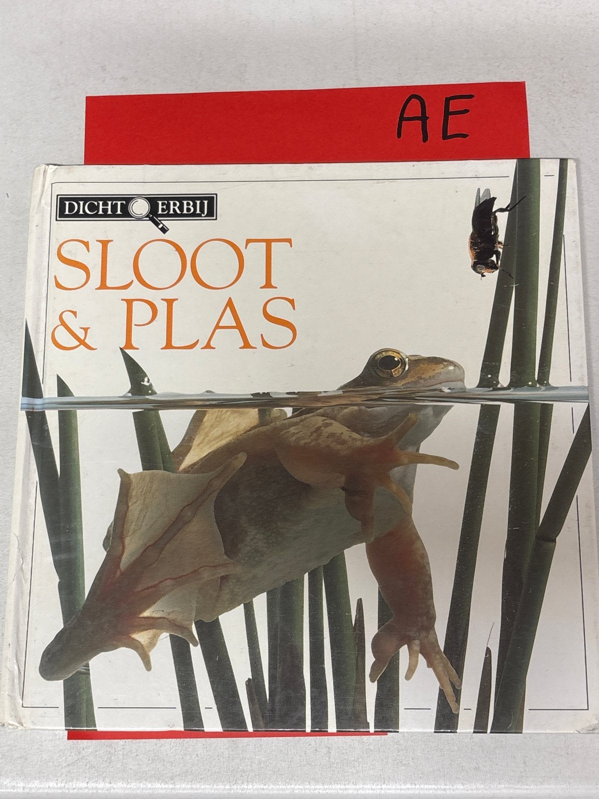 Dichtbij: Sloot & Plas - Ontdek de natuur in en rond het wat, Ophalen of Verzenden, Zo goed als nieuw, Natuur algemeen