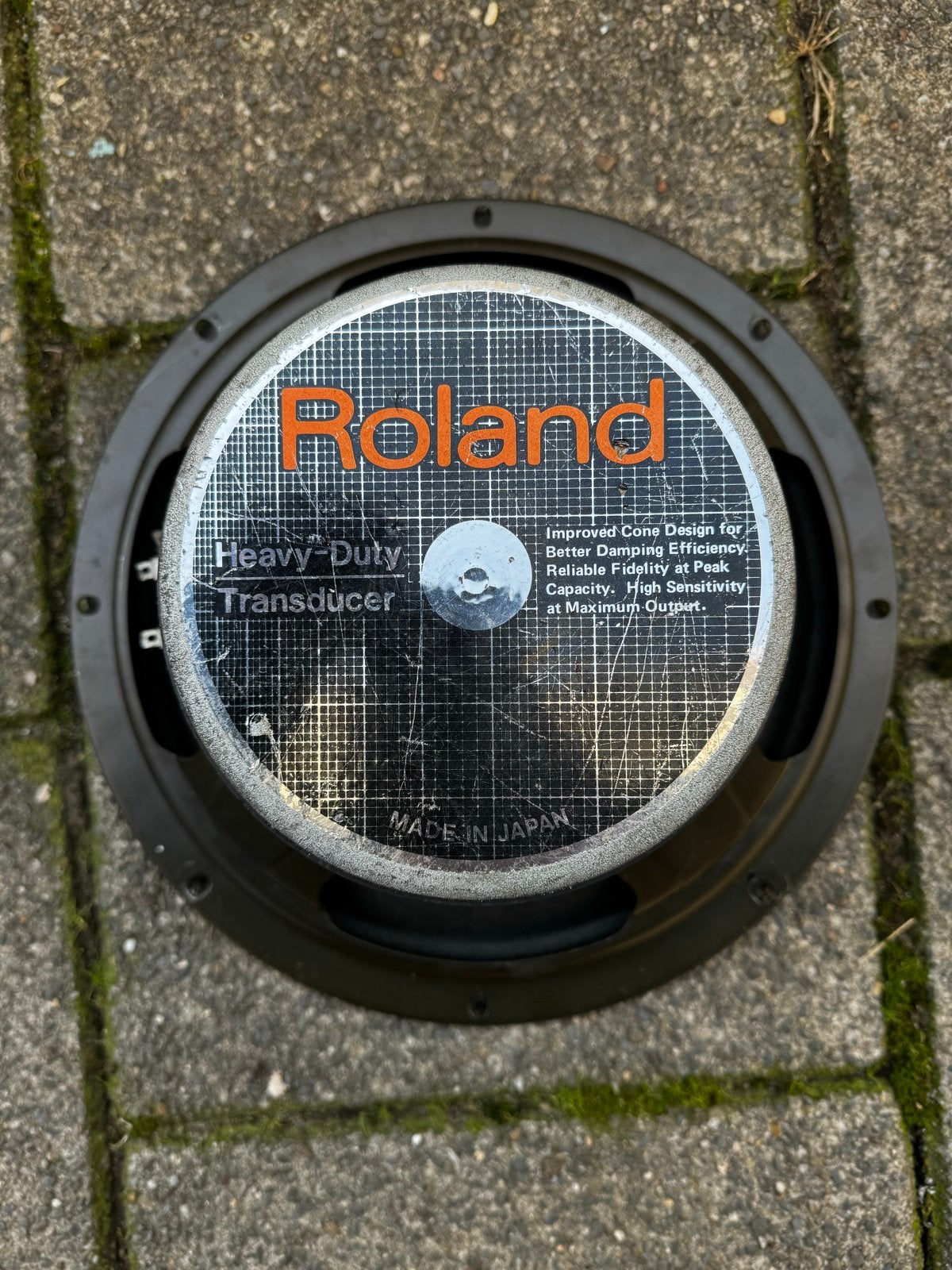 Gezocht Roland 12 inch Speaker, Audio, Tv en Foto, Luidsprekers, Overige merken, Gebruikt, Overige typen, Ophalen of Verzenden