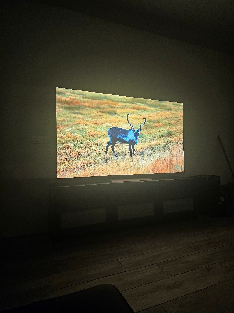 LG OLED evo C54 77 inch 4K TV (144Hz), Audio, Tv en Foto, Televisies, Ophalen, Zo goed als nieuw, 100 cm of meer, 4k (UHD)