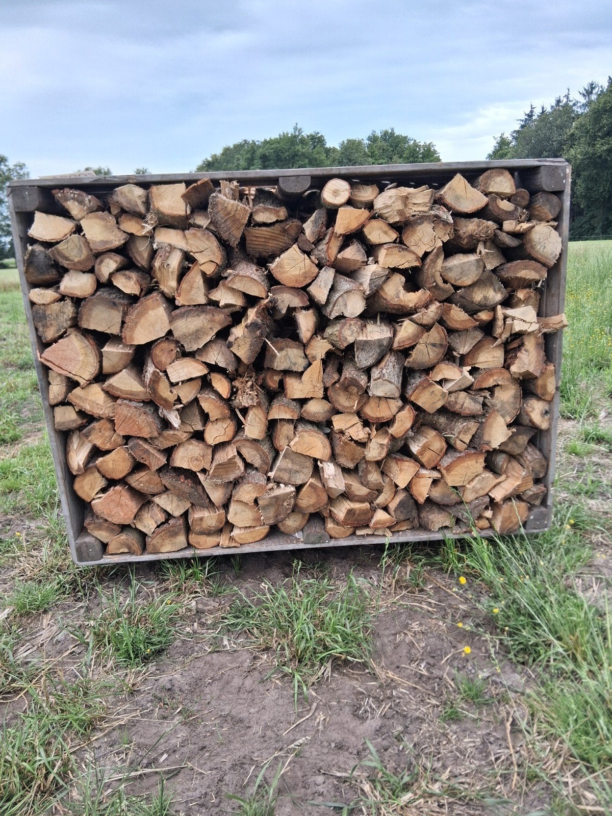 2.2 kuub eiken haardhout/brandhout, Tuin en Terras, Minder dan 3 m³, Ophalen, Eikenhout, Blokken