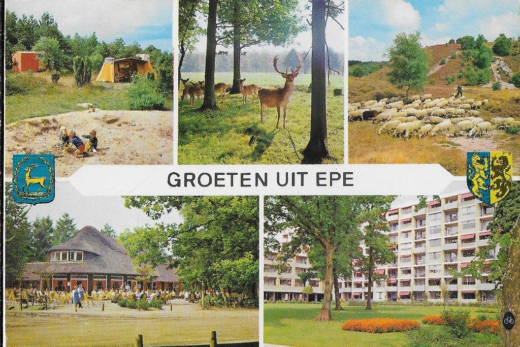 Epe vakantiecentrum heidebad gelopen ansichtkaart ( 1017, Ophalen of Verzenden, 1980 tot heden, Gelopen, Gelderland