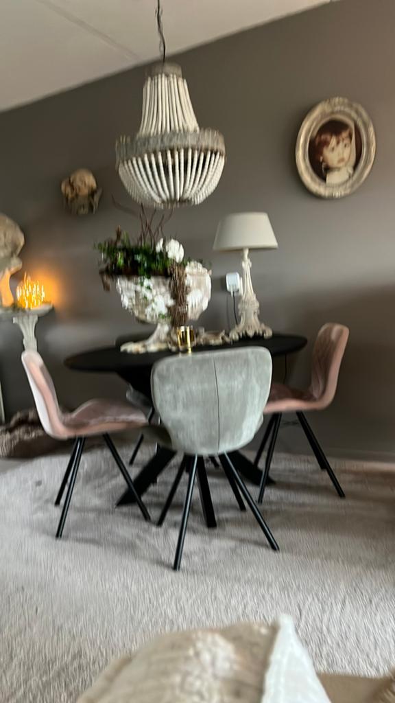4 eetkamerstoelen heel goede staat, Huis en Inrichting, Ophalen of Verzenden, Zo goed als nieuw, 75 m² of meer, Laminaat
